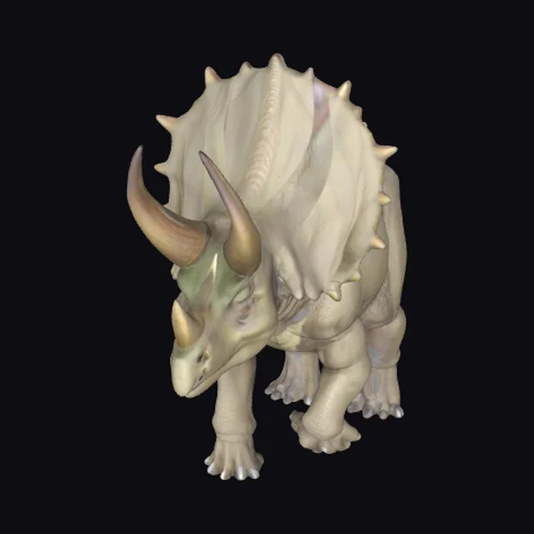 Adult Triceratops with Details