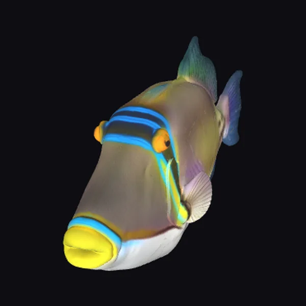 Butterflyfish Portrait