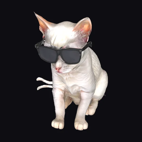 Sphynx Cat Shades
