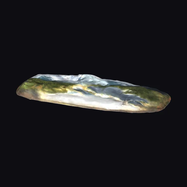 Mother of Pearl Shell