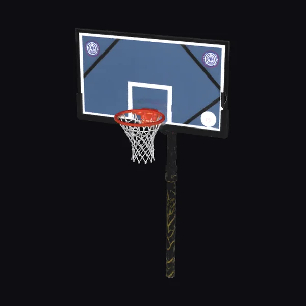 Venice Beach Basketball Hoop
