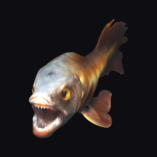 Anglerfish Deep Sea Creature