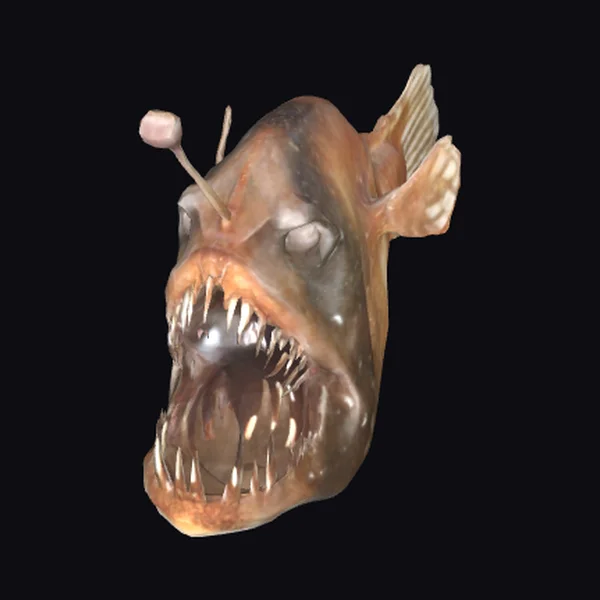 Anglerfish Hunter Head