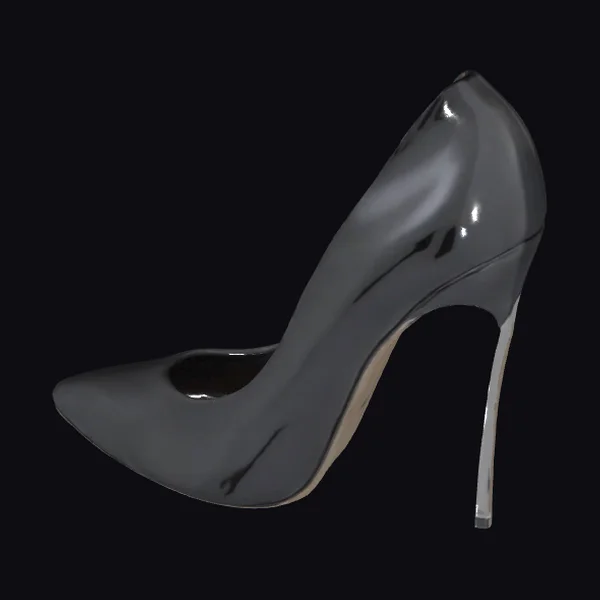 High Heeled Stiletto Shoe