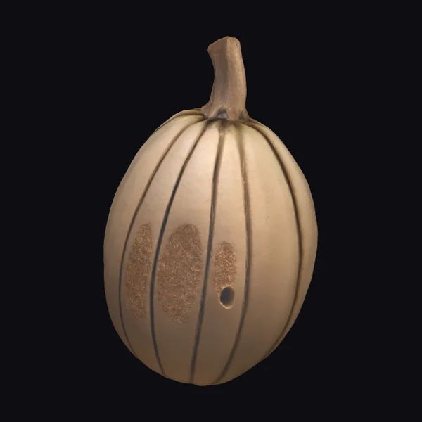Brown Pumpkin with Stem