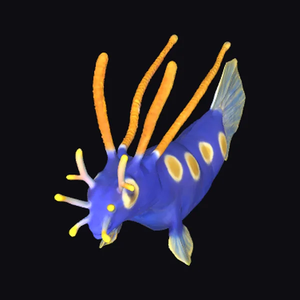 Blue Nudibranch Creature