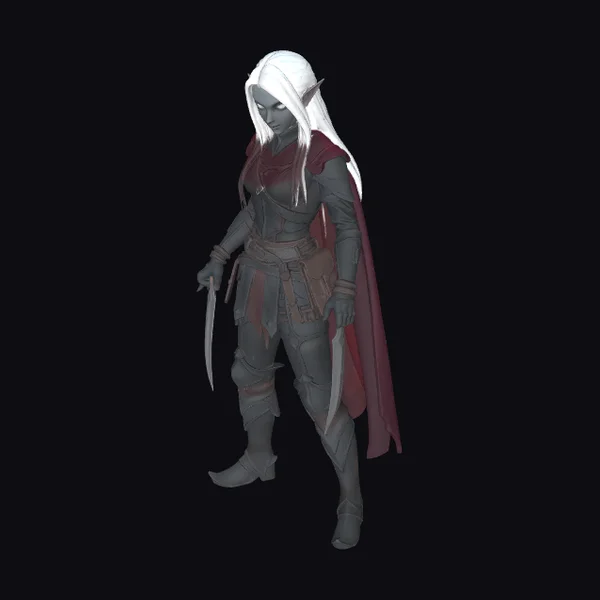 Female Elf Rogue Assassin