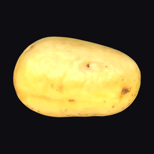 Yellow Oval Potato