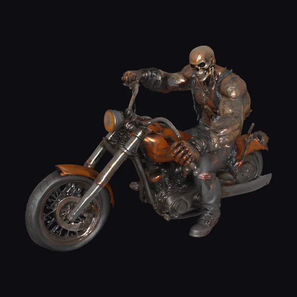 Biker Skull Rider