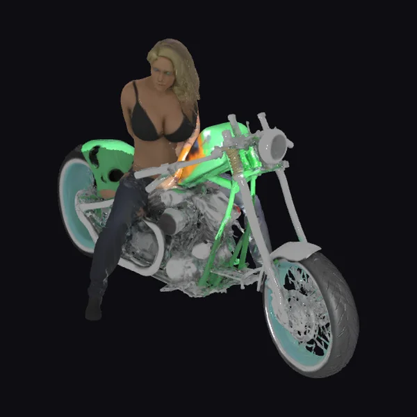 Biker Chick on Motorcycle