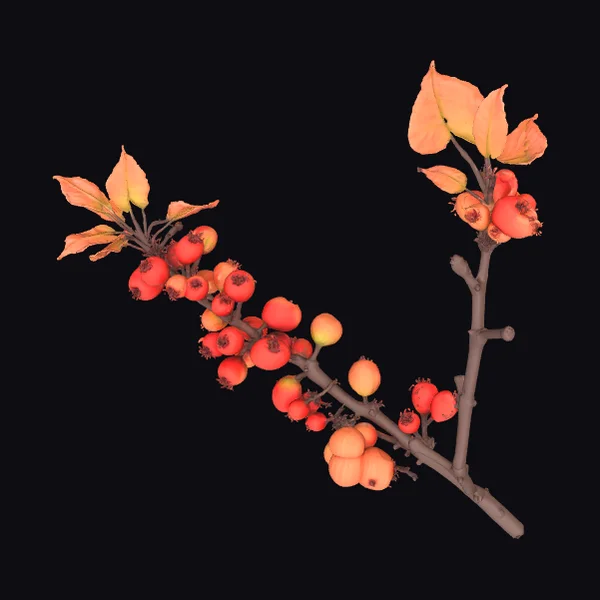 Autumn Berry Branch