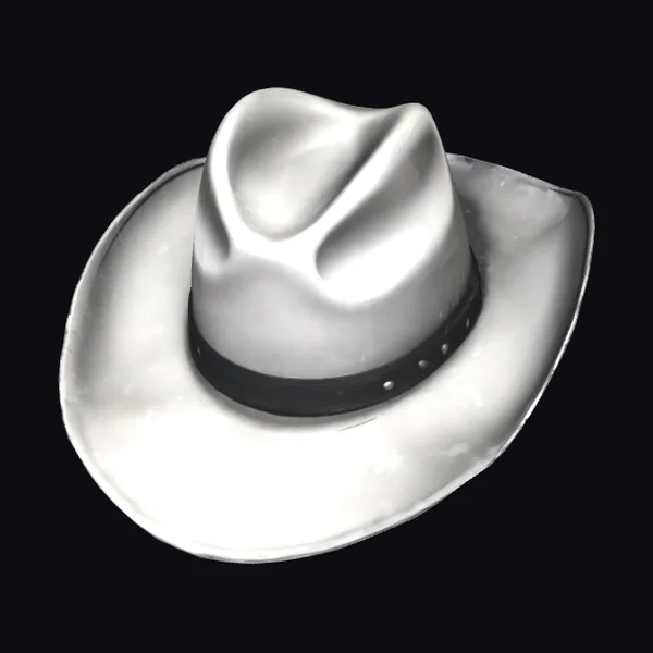 White Cowboy Hat