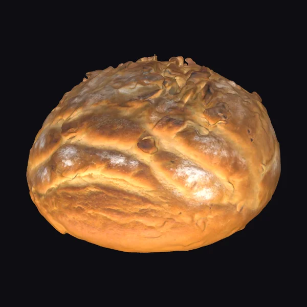 Ancient Pompeii Bread