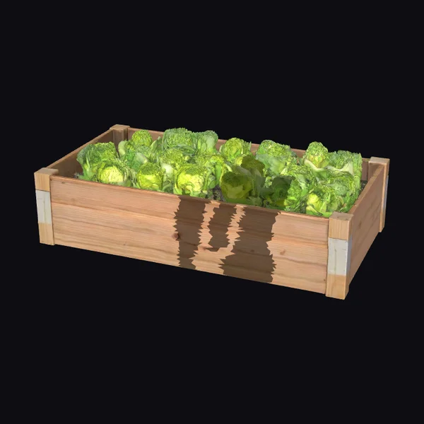 Wooden Vegetable Garden Bed