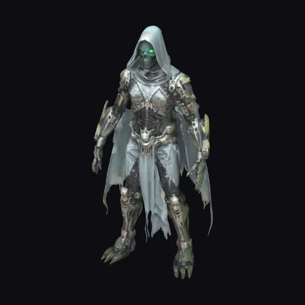 Undead Cyborg Warrior