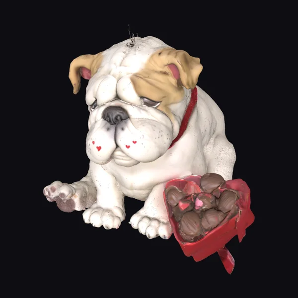 Bulldog with Chocolate Box
