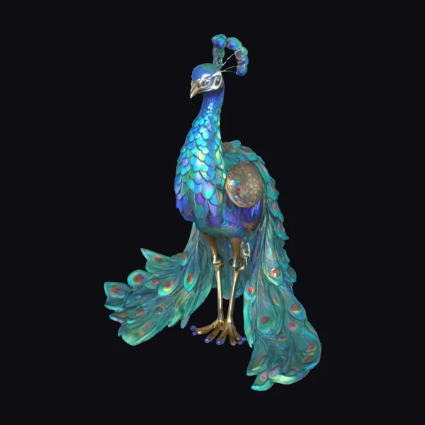 Vibrant Peacock Display