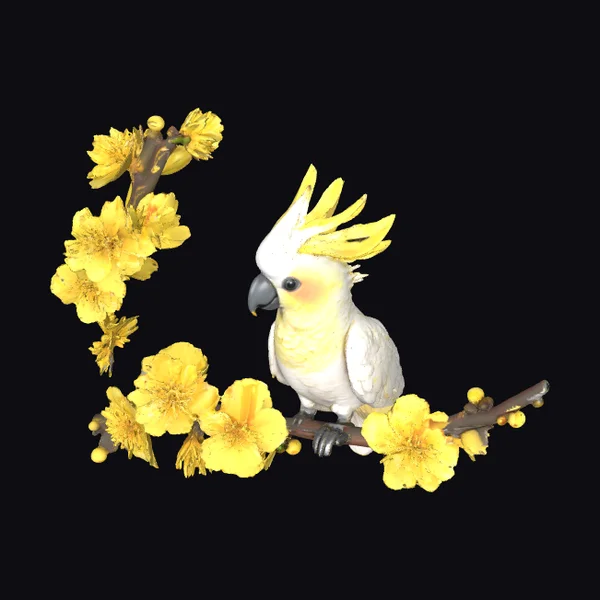 Baby Cockatoo on Branch