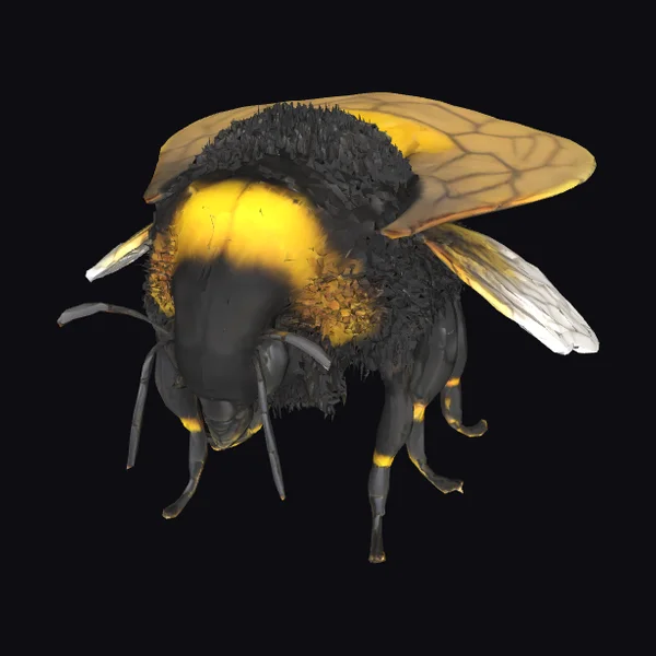 Large Fuzzy Bumblebee