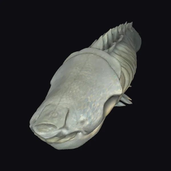 Ancient Fish Creature