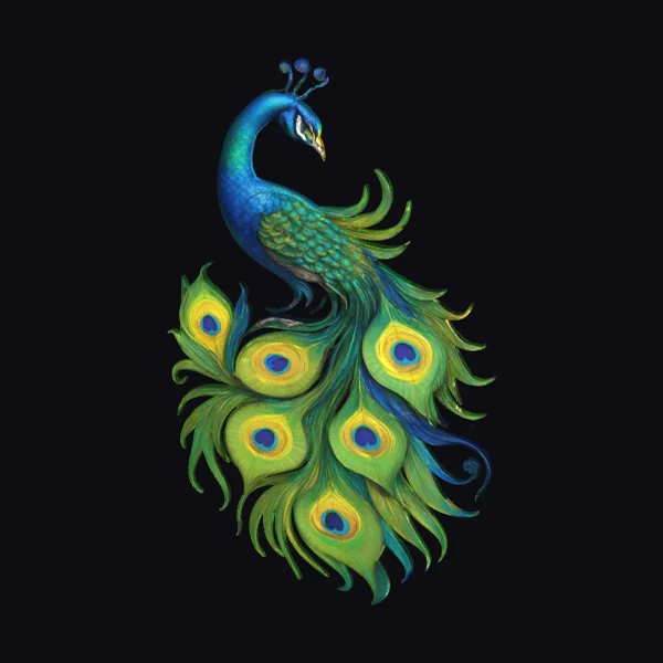 Peacock with Spread Tail