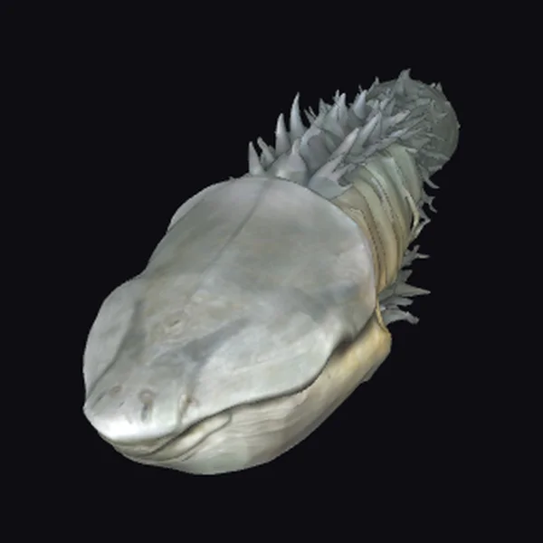 Ancient Armored Fish