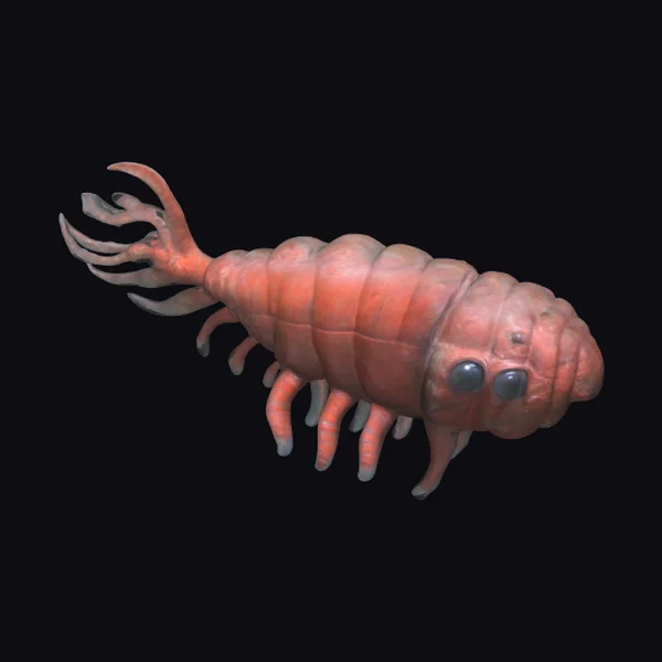 Anomalocaris Creature