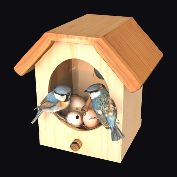 Wooden Birdhouse with Birds