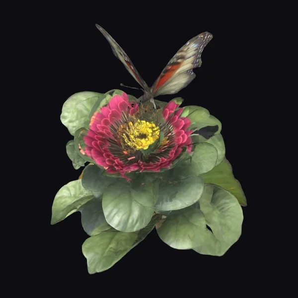 Butterfly on Pink Flower