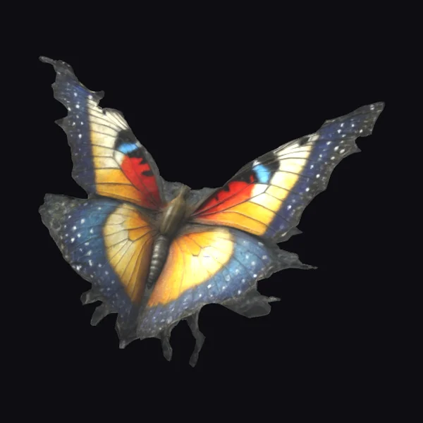 Colorful Butterfly on Flower