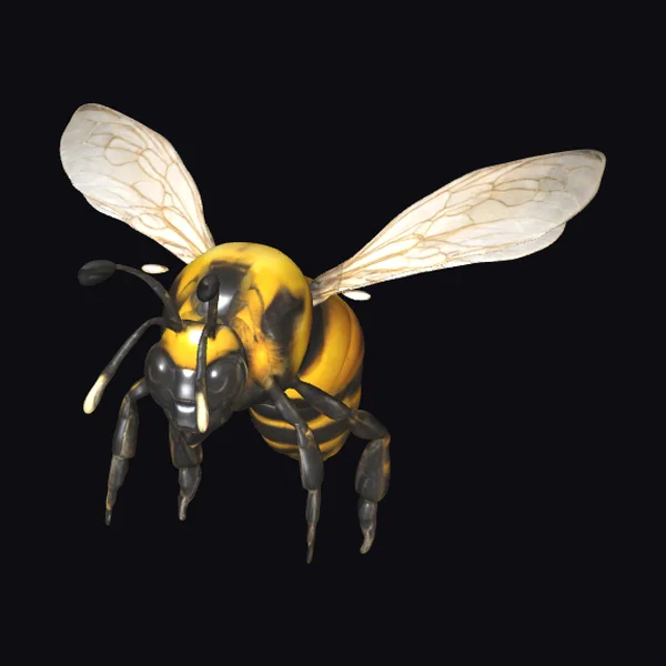 Yellow Black Bumblebee