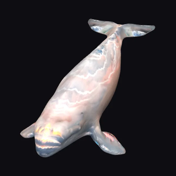 Giant Albino Sperm Whale