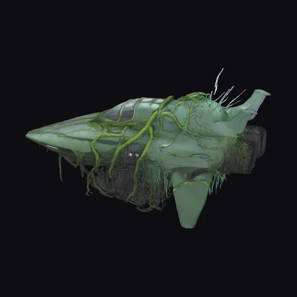 Abandoned Futuristic Aircraft