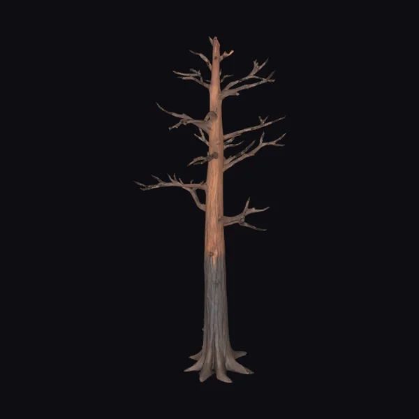 Burnt Tree