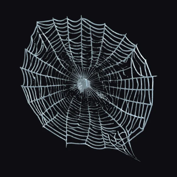 Intricate Spider Web