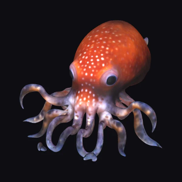 Bobtail Squid Creature