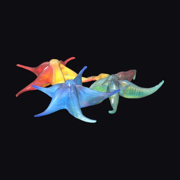 Glass Starfish Trio