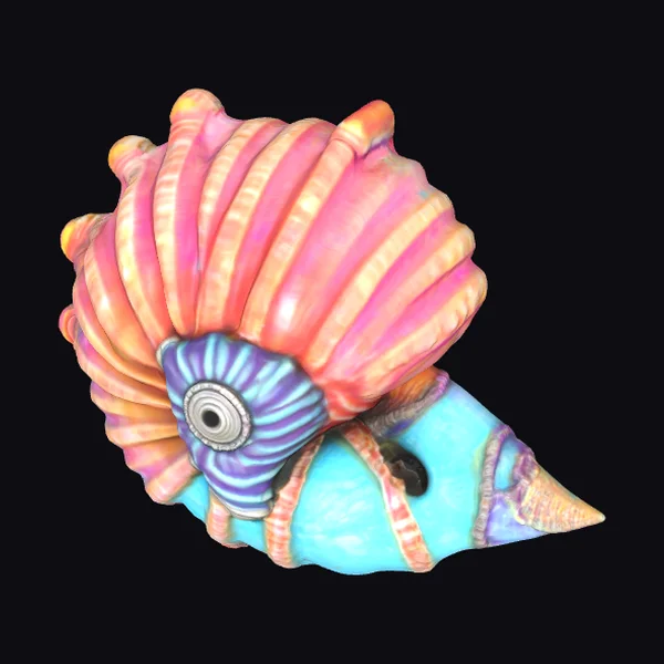 Biomechanical Conch Shell