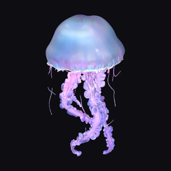 Bioluminescent Deep Sea Jellyfish