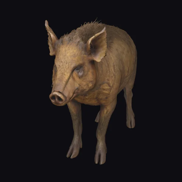Zombified Wild Boar