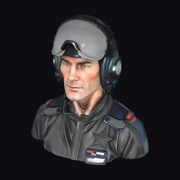 Air Force Pilot Bust