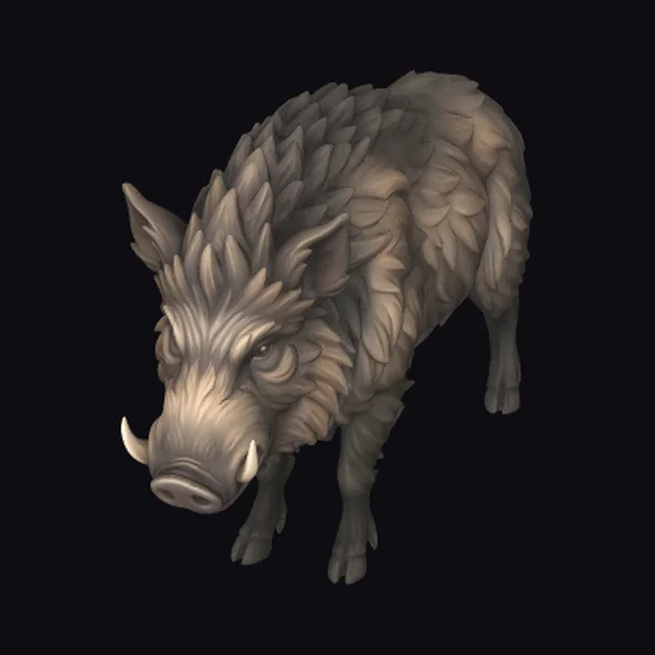 Wild Boar