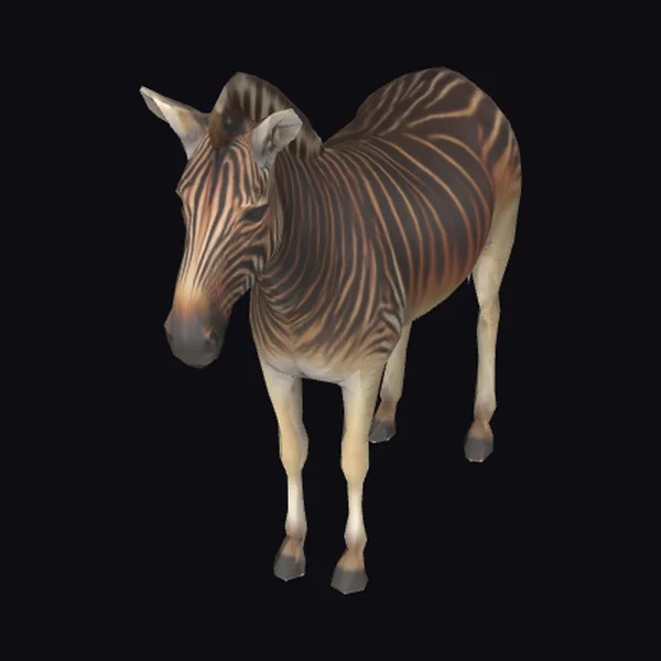 Zebra with Large Ears