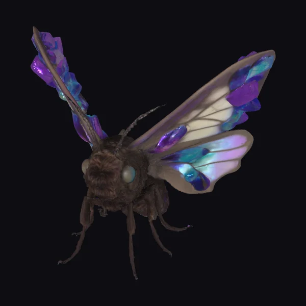 Crystalwing Moth Insect