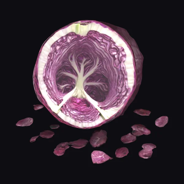 Cut Red Cabbage