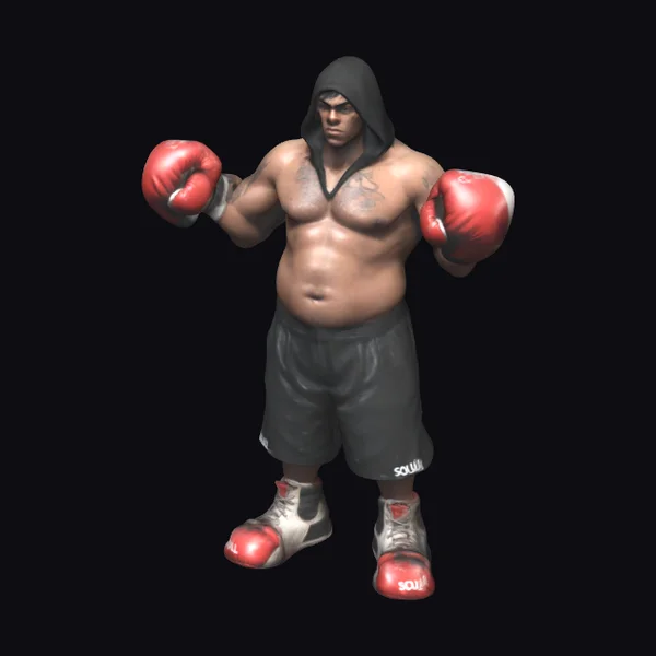 Muscular Male Boxer