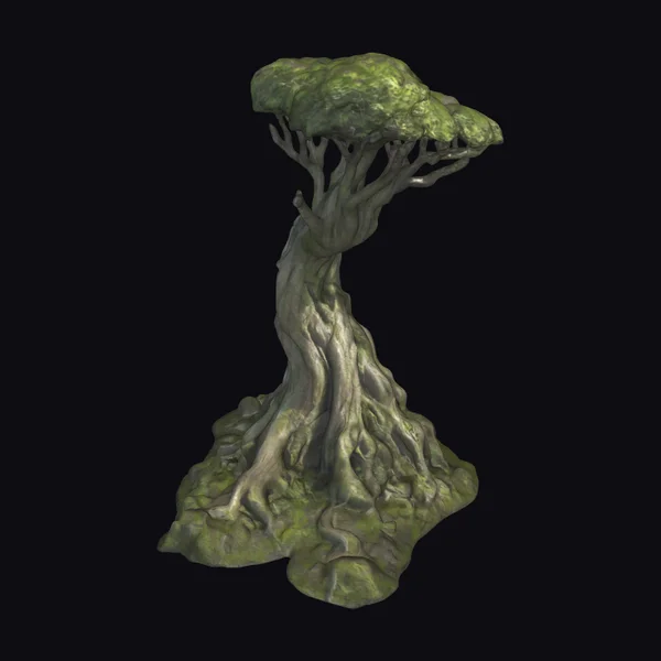 Twisted Ancient Tree