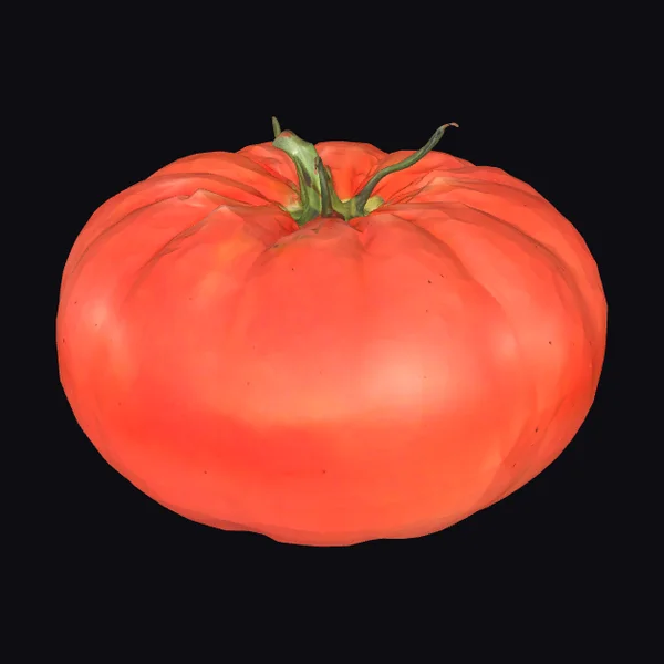 Large Red Tomato