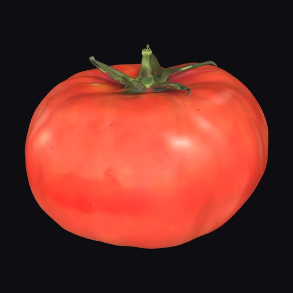 Vibrant Red Tomato