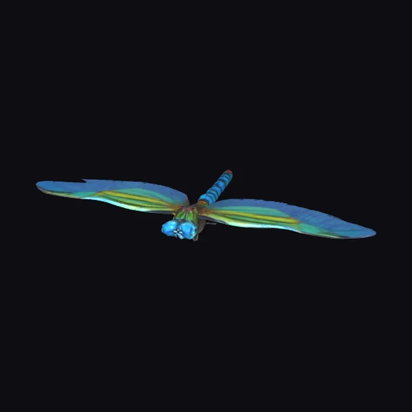 Iridescent Dragonfly